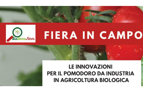 BioDemoFarm – Fiera in campo “Le innovazioni per il pomodoro da industria in agricoltura biologica”